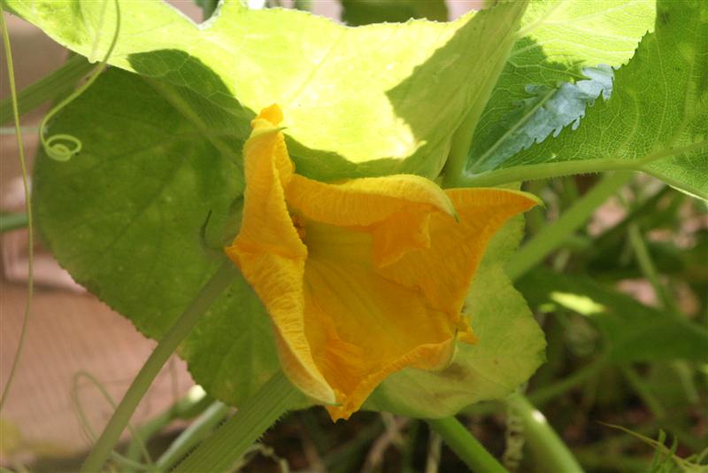 [יולי+09+039+(Medium).jpg]