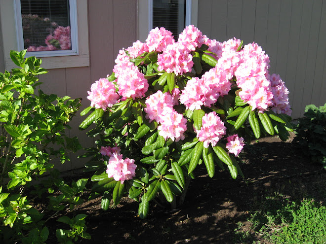 Spring, of course