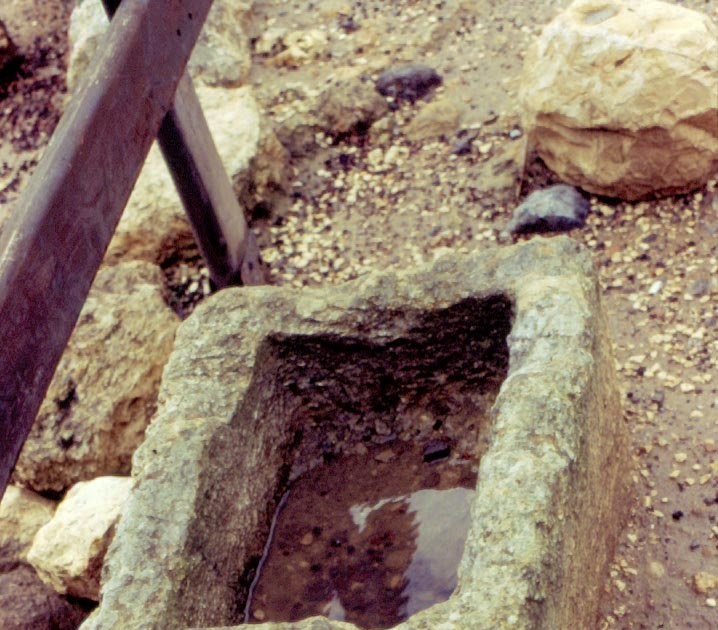 True Paradigm Was Jesus born in a house or a stable?