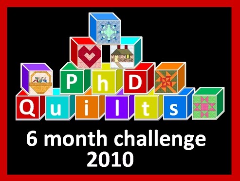 [PhD+Challenge+2010.JPG]
