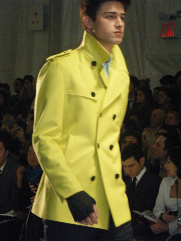[duckie+brown+008.jpg]