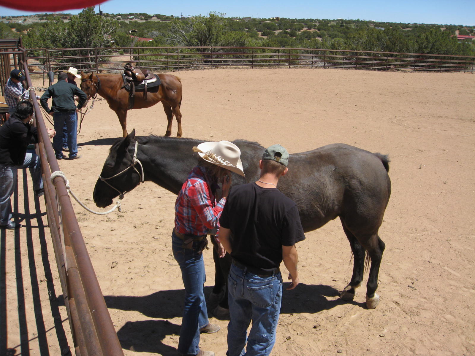 HORSES FOR HEROES New Mexico Cowboy Up! 5057982535 US Army Wounded