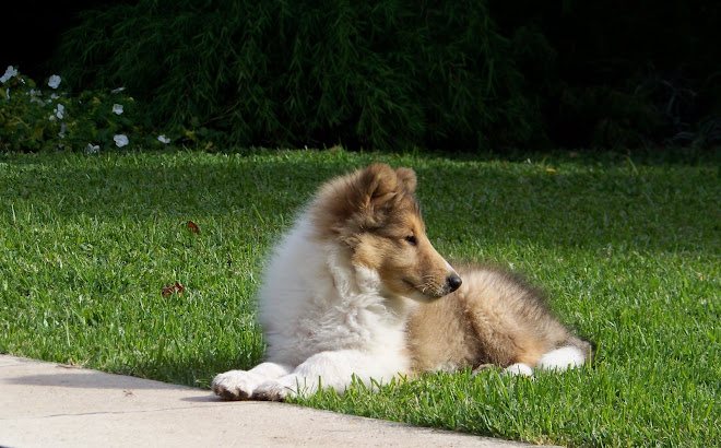 Primeros días en casa