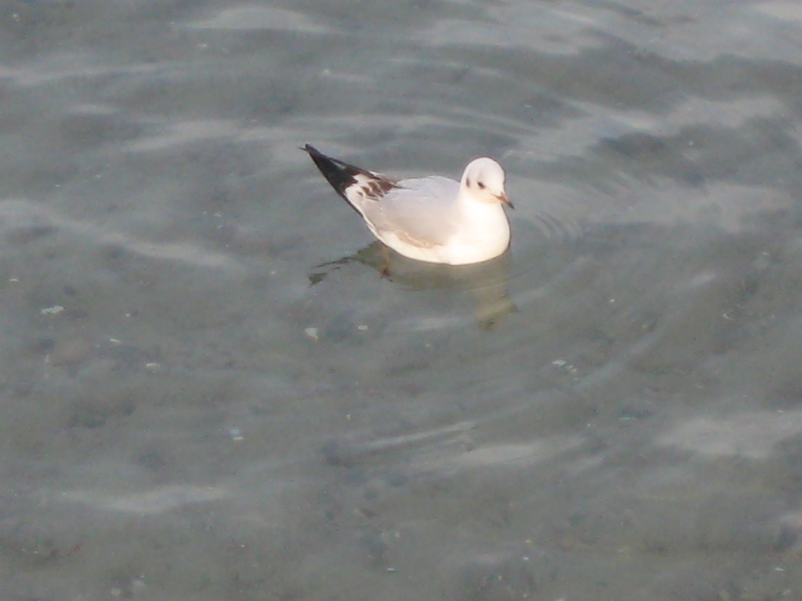 [IMG_2096.JPG]
