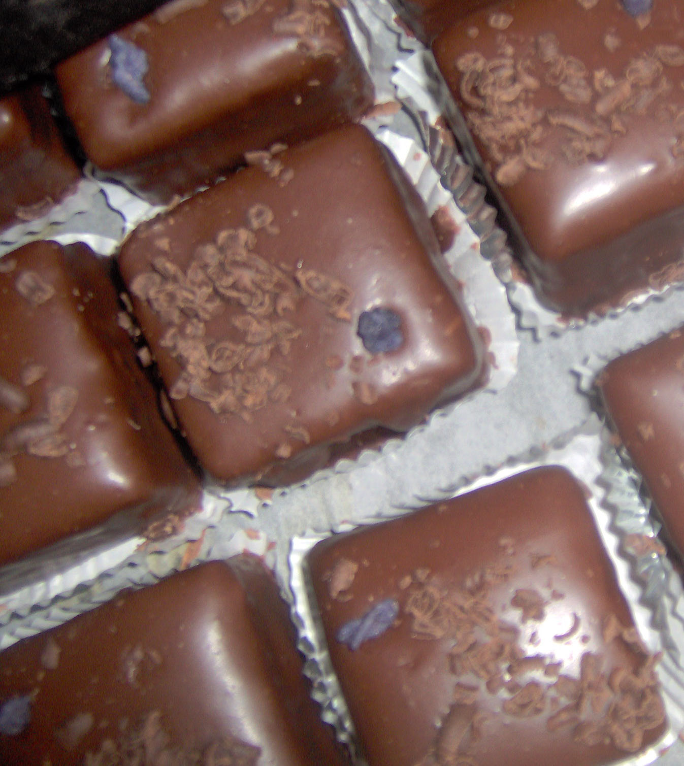 [IM000996_edited.JPG]