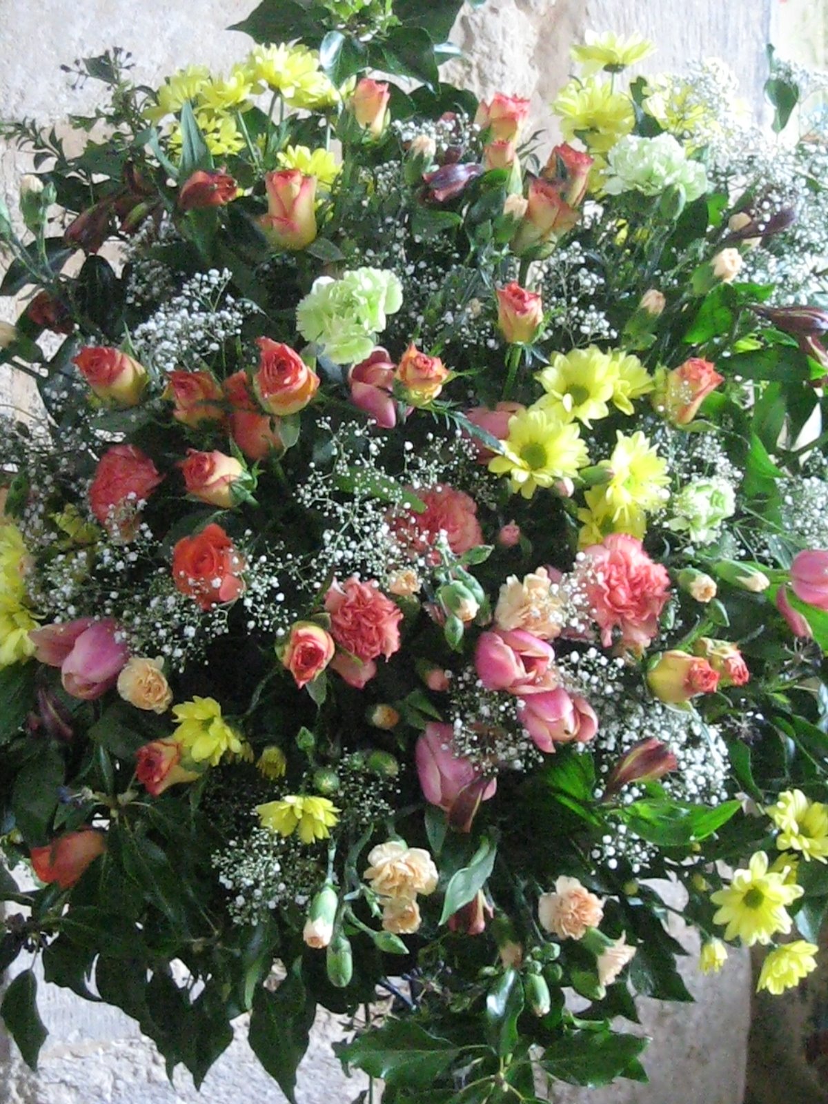 [IMG_2535.JPG]