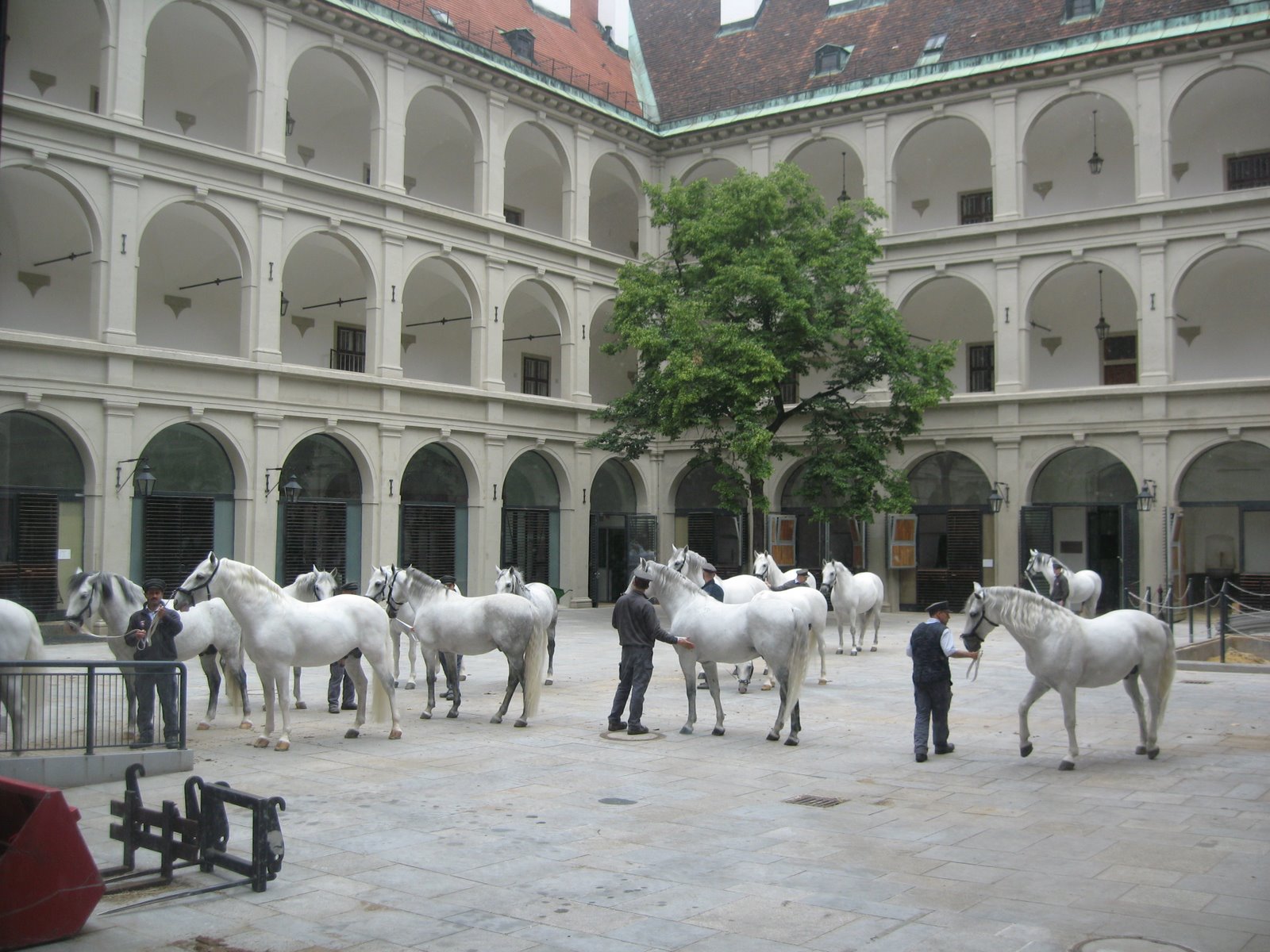 [IMG_5807_1.JPG]
