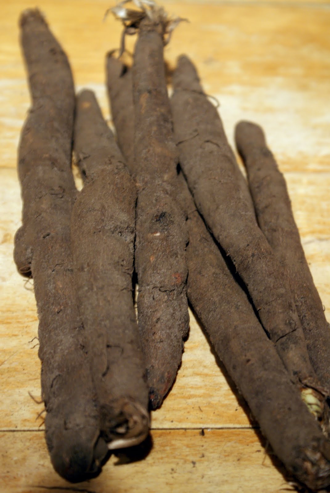 [dsc02685+(Modified).jpg]