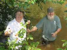 Adopt-A-Stream Taking Water Samples