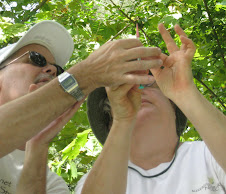 Adopt-A-Stream Testing Water Sample