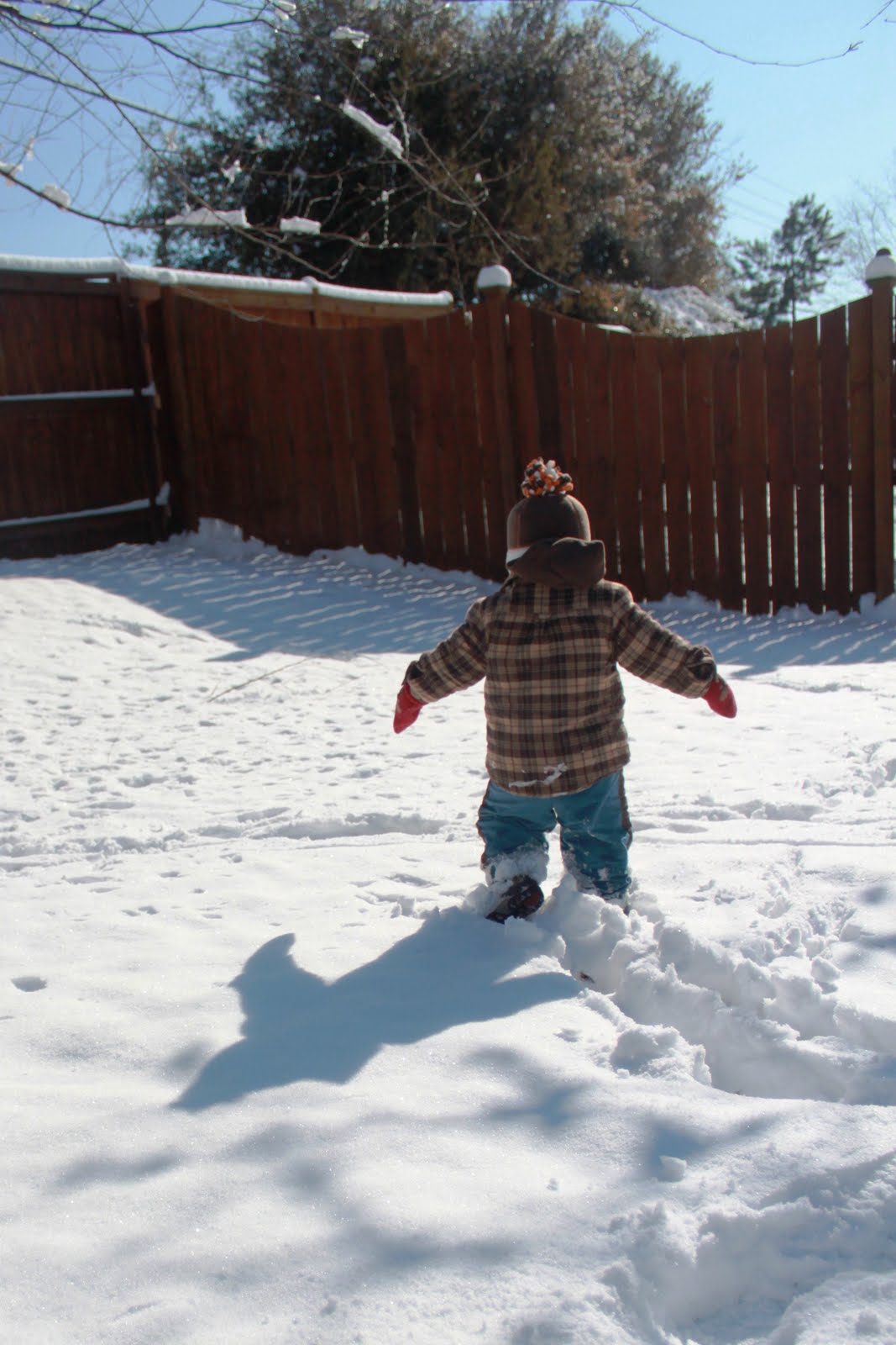 [snow10.jpg]