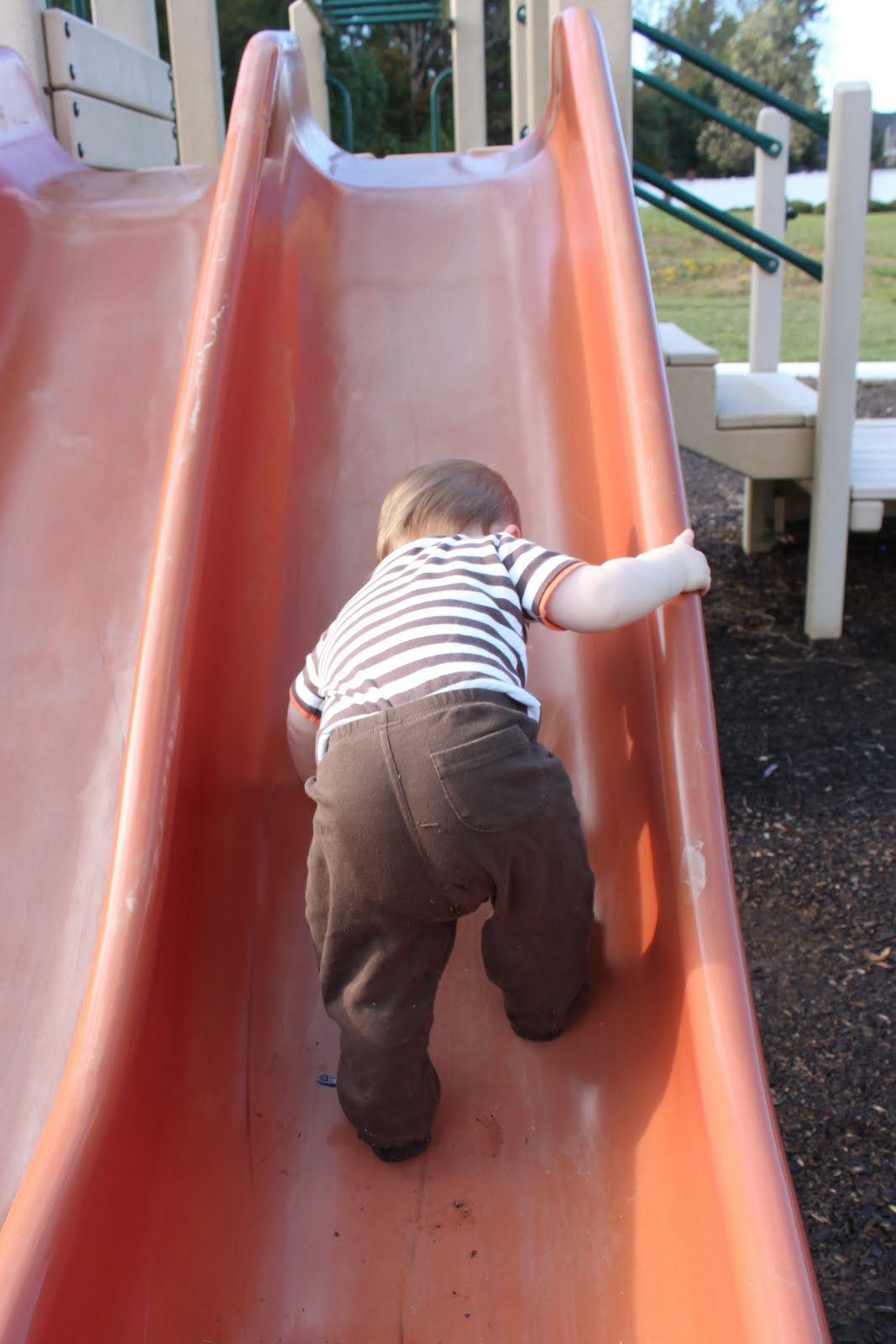 [Austin+12mo+481.jpg]