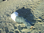 Desilusionado