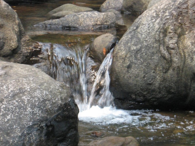 Thommankuthu waterflow