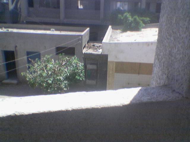 [Image(194).jpg]