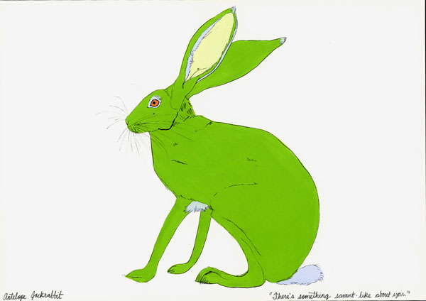[antelopejackrabbit.jpg]