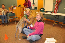 Cheryl conducts Delta dog evaluations