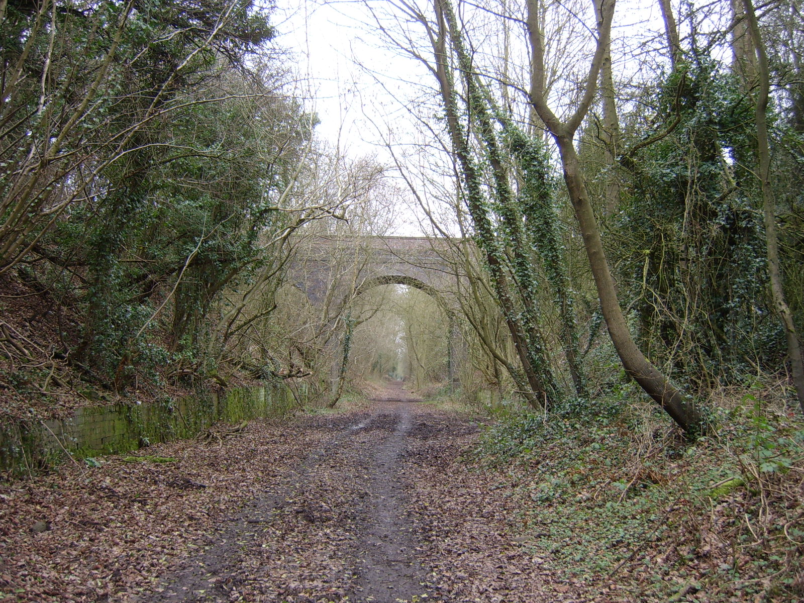 The Moment Before The Kenilworth Greenway