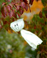 Little ghost in a tree. Boo