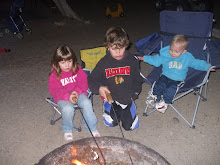 Roasting Marshmellows