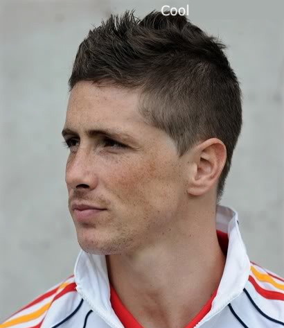 2010 Men's HairStyle: Fernando Torres Hairstyle Pictures haircuts