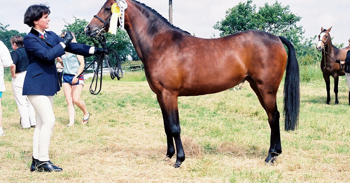 Dave and Mandy at PMP EMMA HORSES KELSALL HILL EQUESTRIAN CENTRE