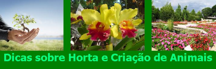 Criar e plantar