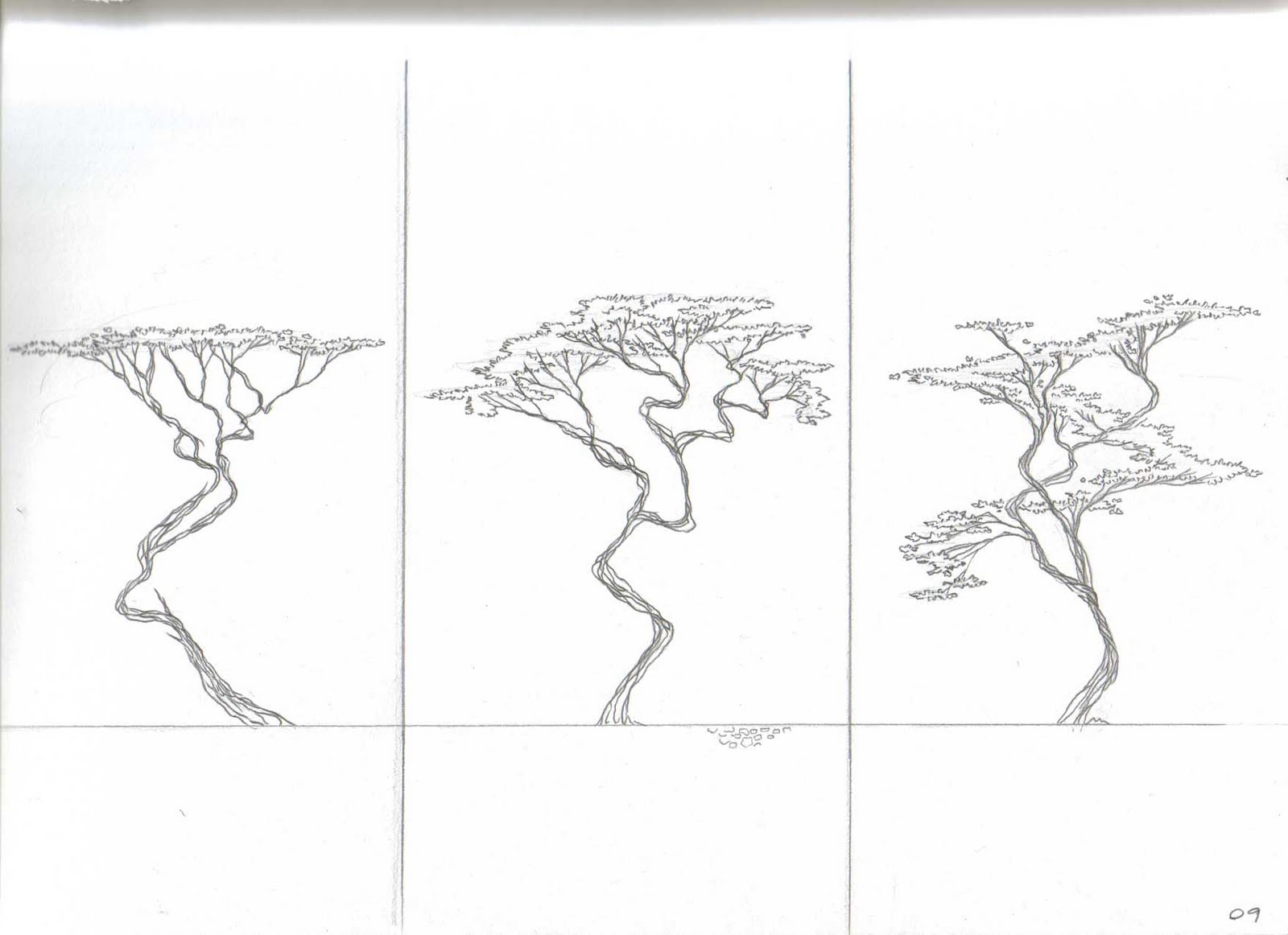 Trees Sketch