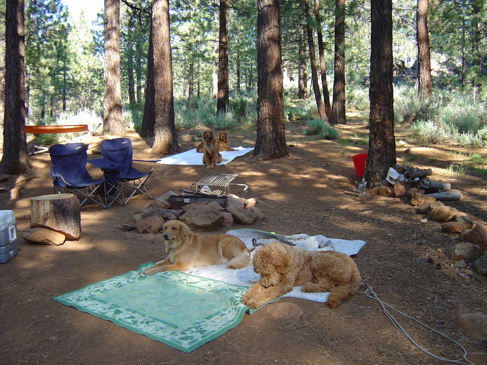 [Camping+Trip+at+Frenchmans+Lake+004.jpg]
