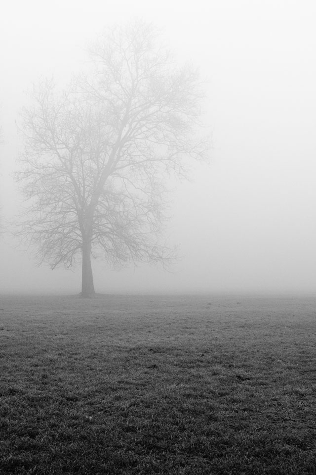 [IMG_3416_bw.jpg]