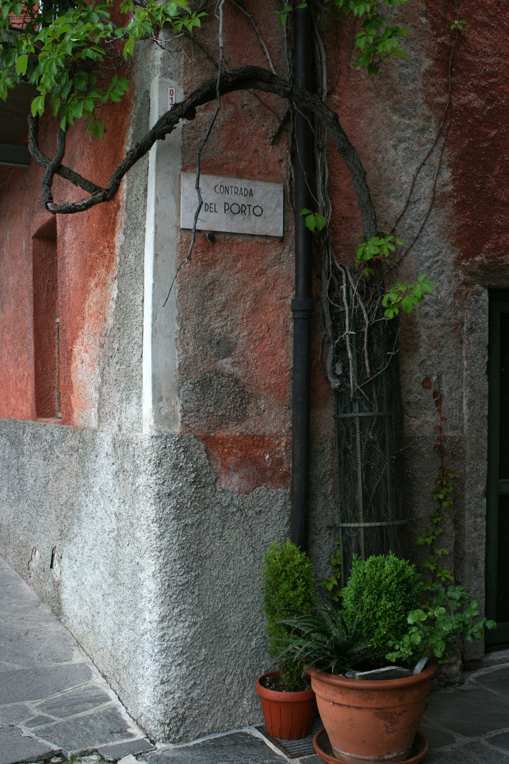 [IMG_1813_adj.jpg]