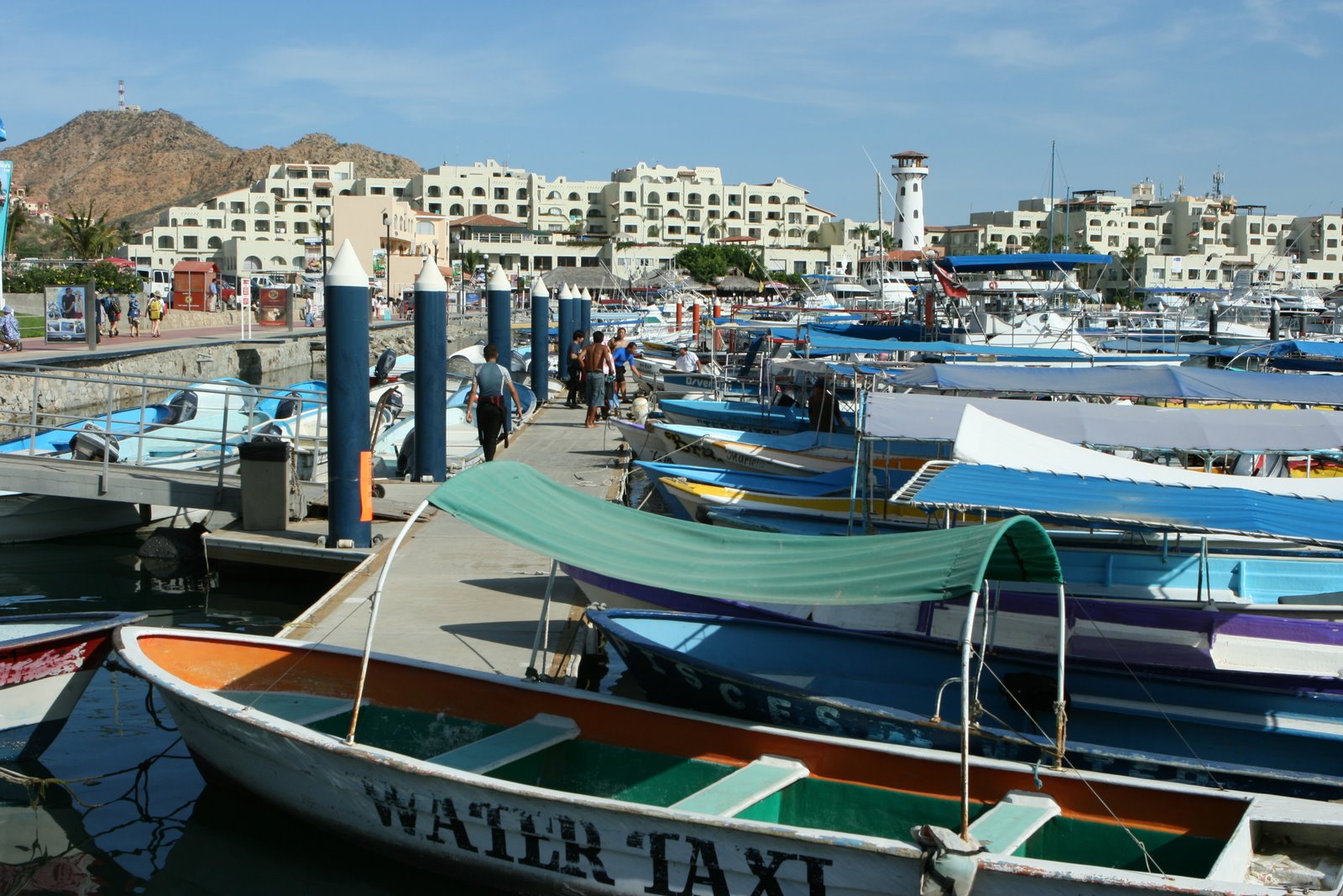 [IMG_6687.JPG]