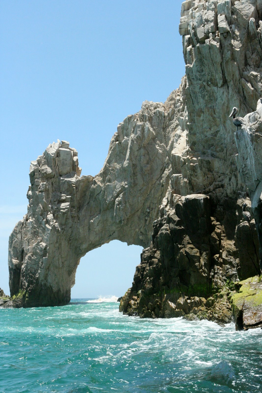 [IMG_6728_adj.jpg]