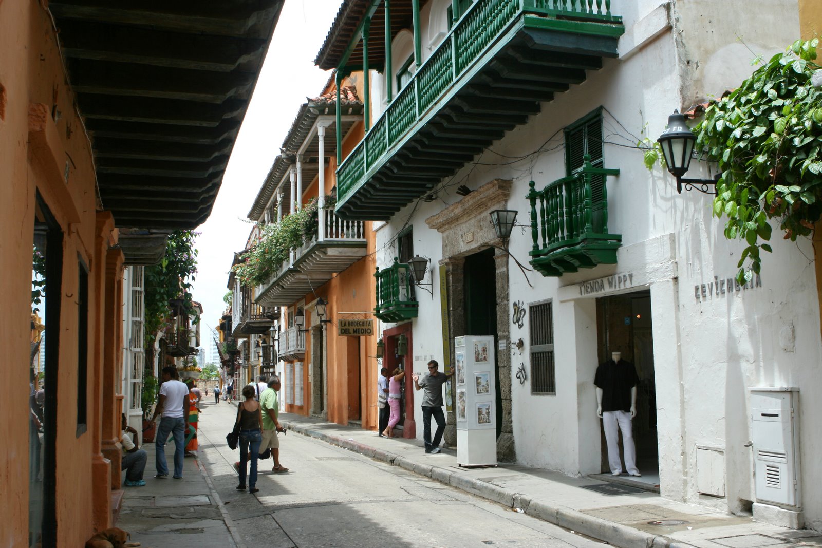 [IMG_7509_adj.jpg]