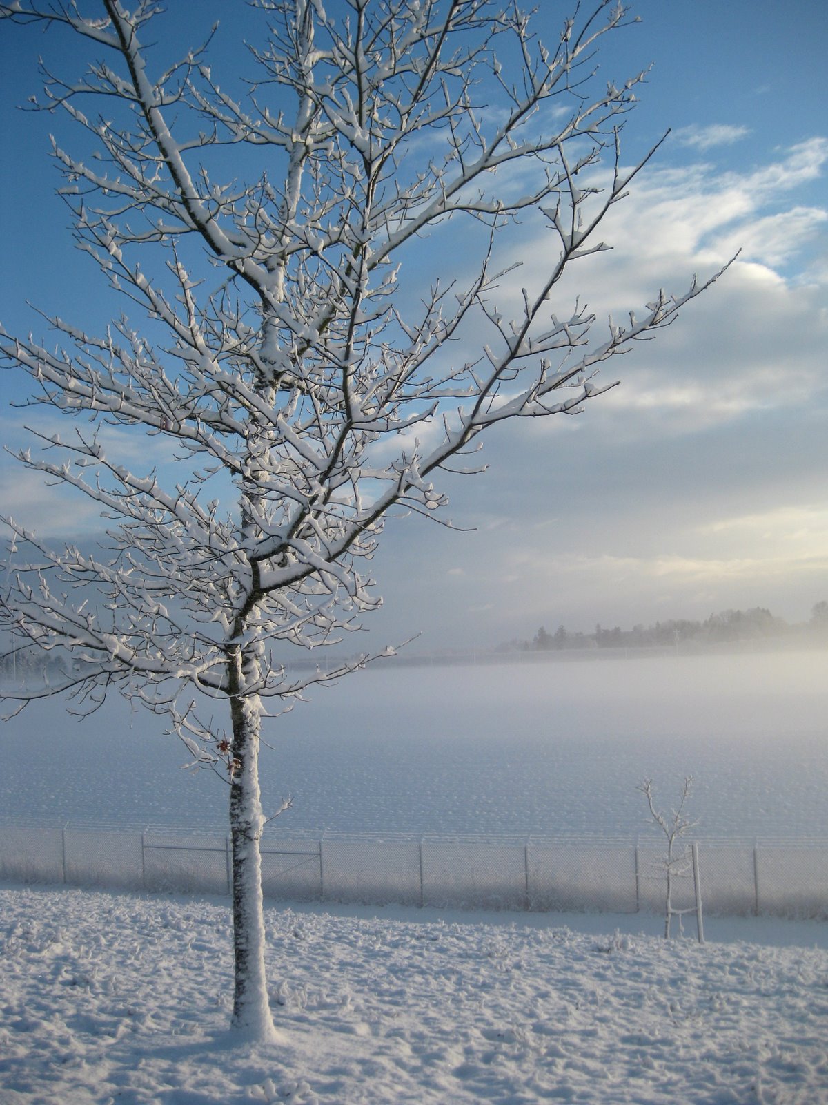 [IMG_0079_adj.jpg]
