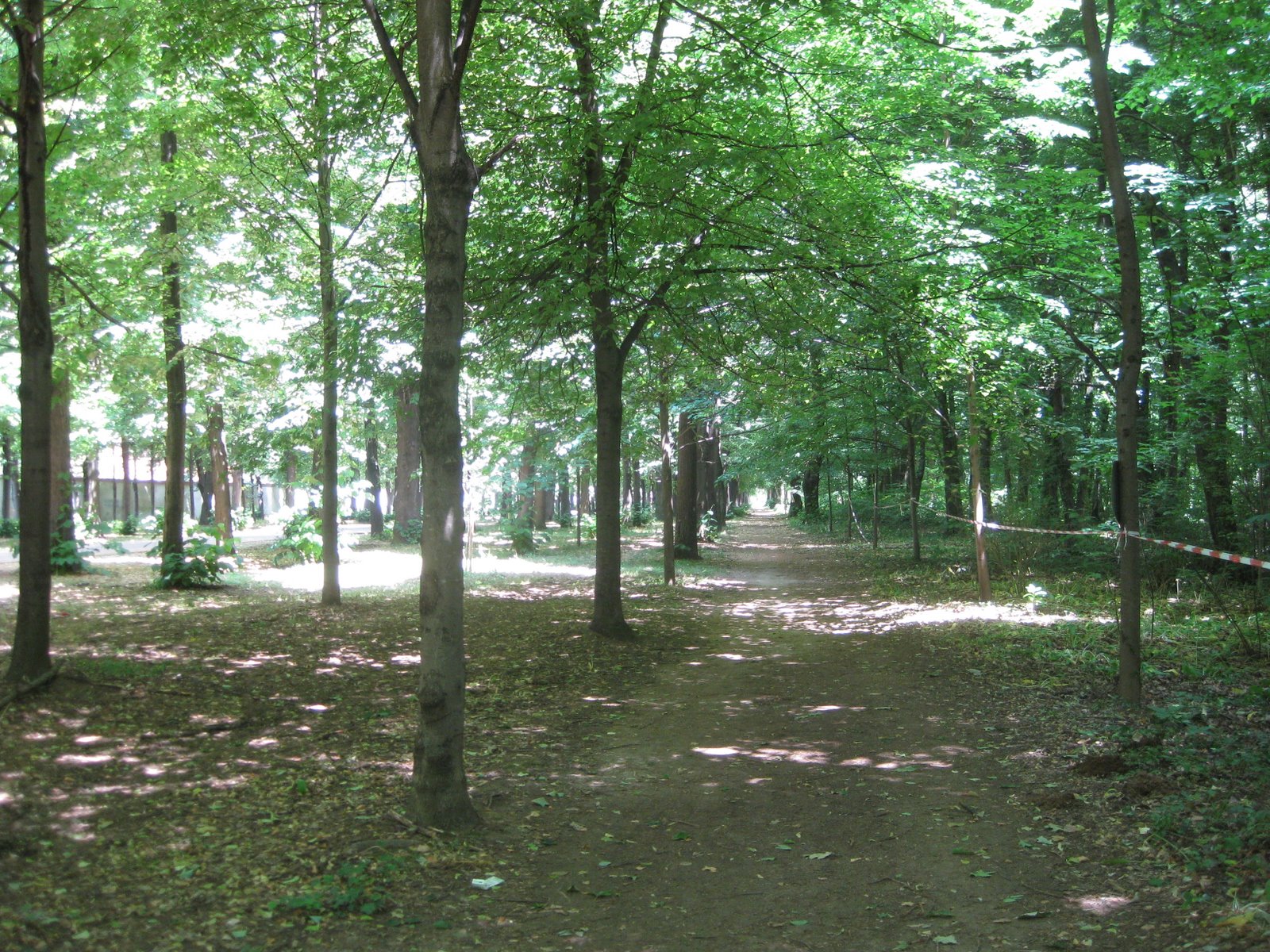 [IMG_1601.JPG]