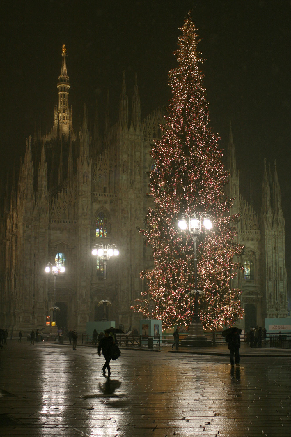 [IMG_1208_adj.jpg]