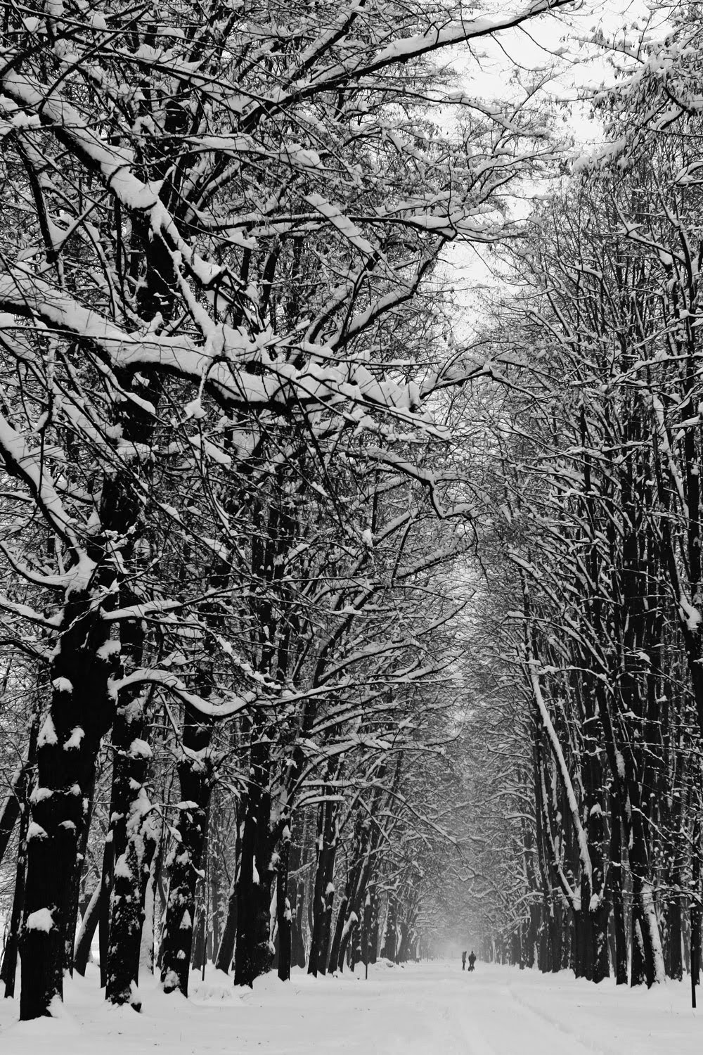 [IMG_1554_bw.jpg]