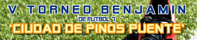 TORNEO BENJAMÍN CIUDAD DE PINOS PUENTE