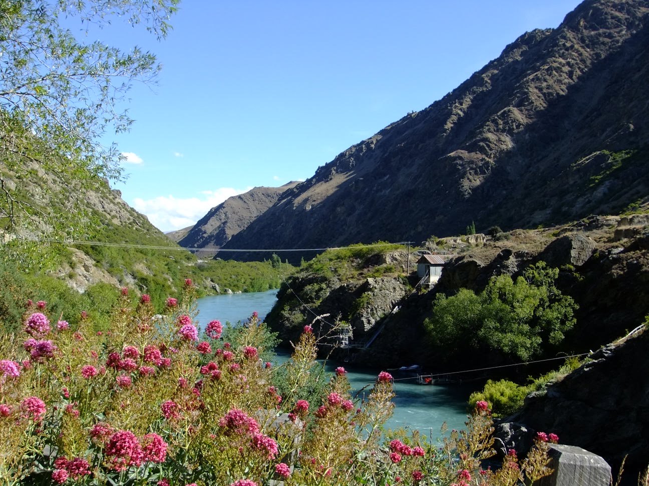 [DSCF1510.JPG]