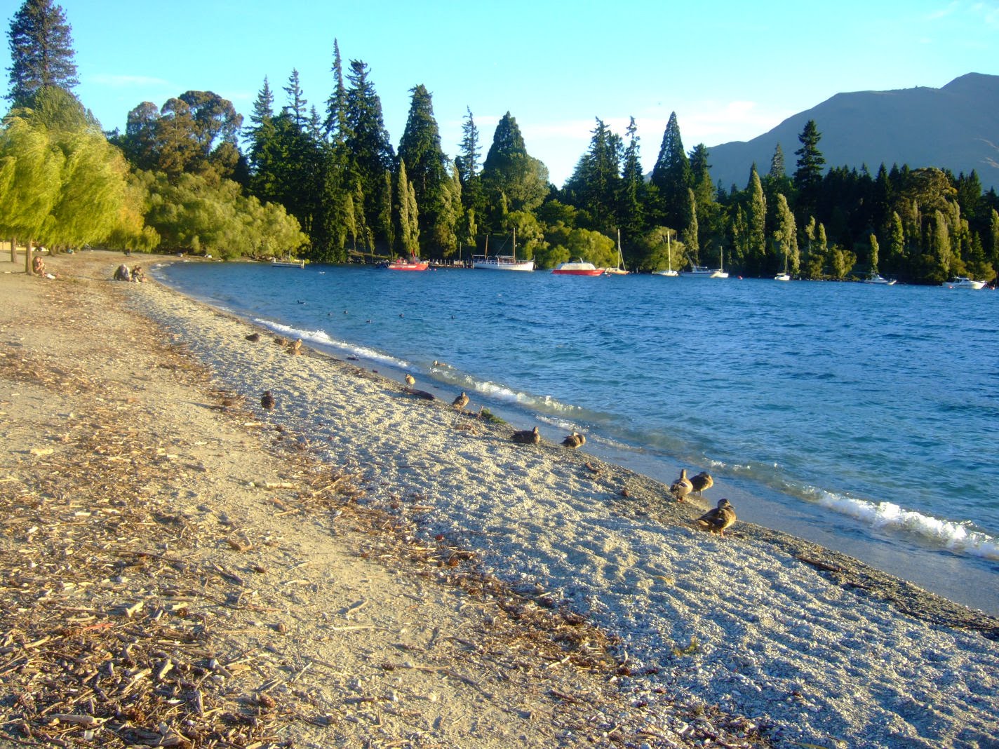 [DSCF0609.JPG]