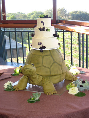 Turtle Cake Ideas