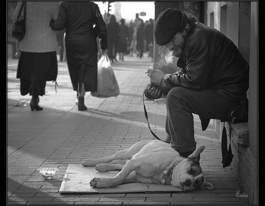 [image011.jpg]