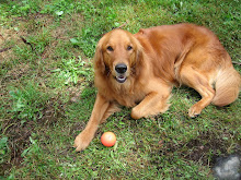 Chillin' with a ball