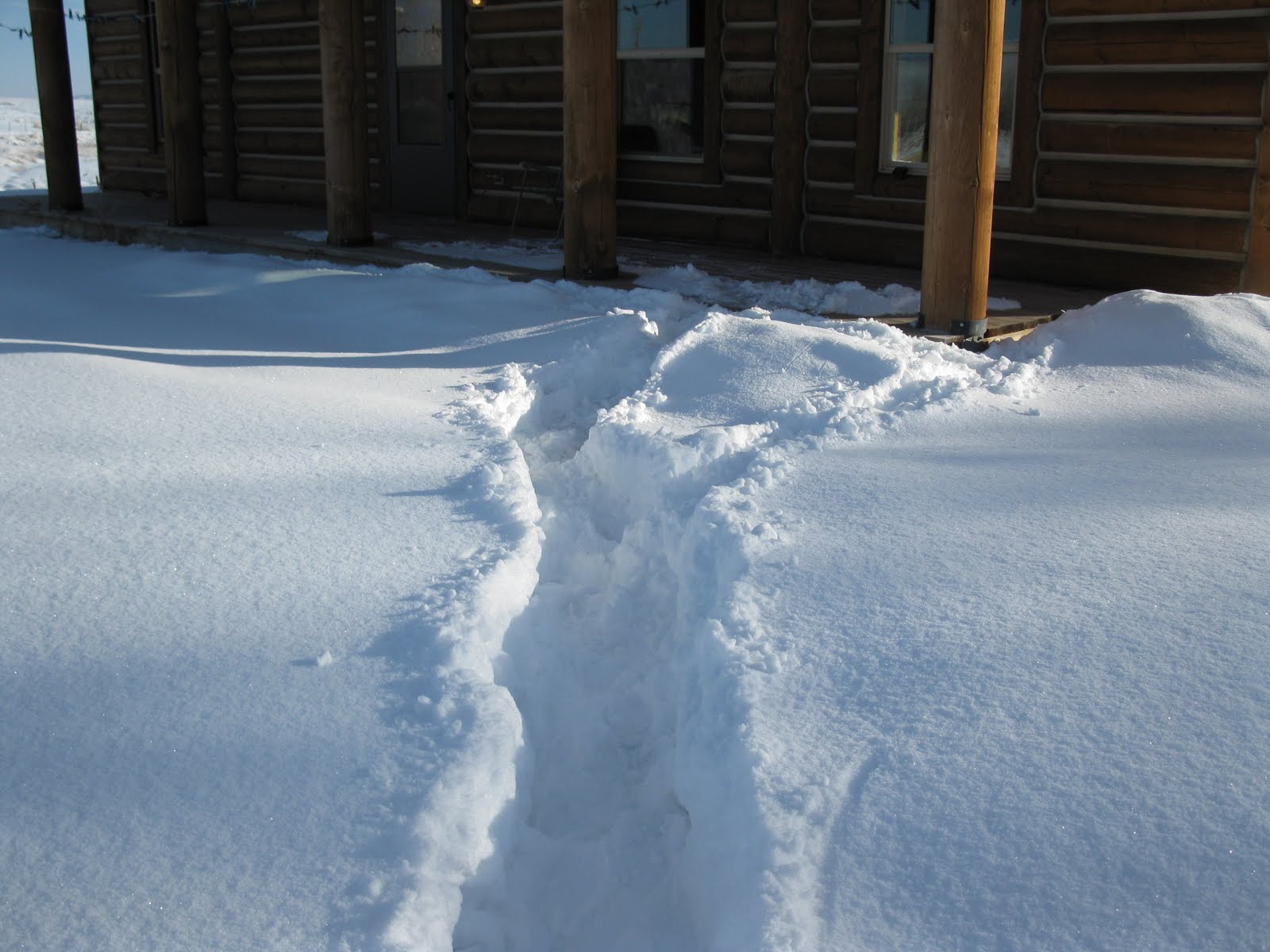 [IMG_1663.JPG]