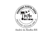 Logotípo Texel "FSA"