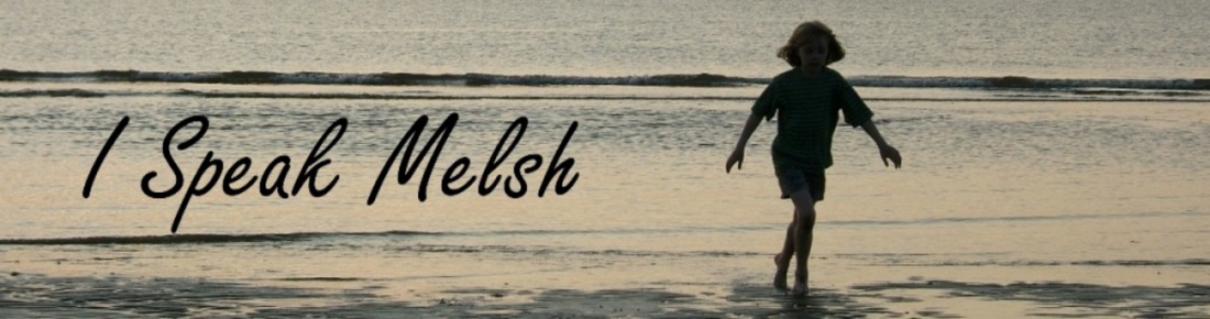 I Speak Melsh