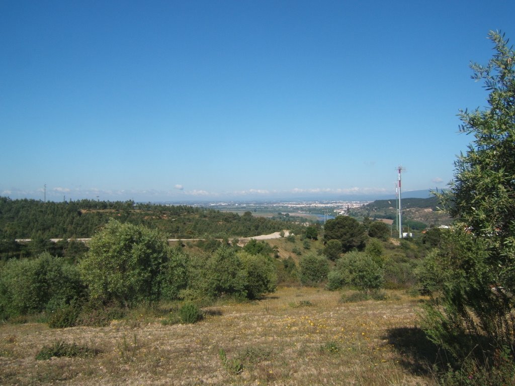 [DSCF6020.JPG]
