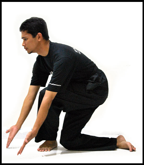 SENAMAN TUA: KENALI SENAMAN TUA