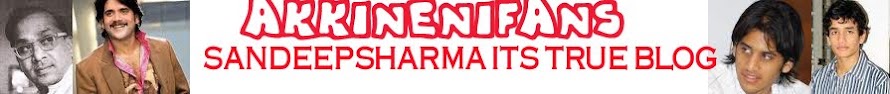 AKKINENIFANS